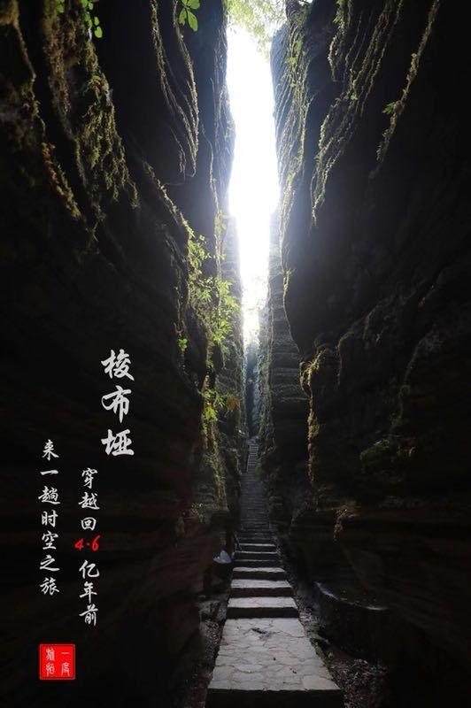 赛季三杀！辽宁再胜广东，赵继伟25+11，周琦复出15分，奇兵5记三分