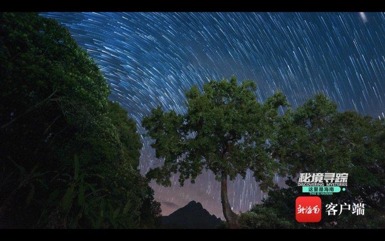 小鸡要回家