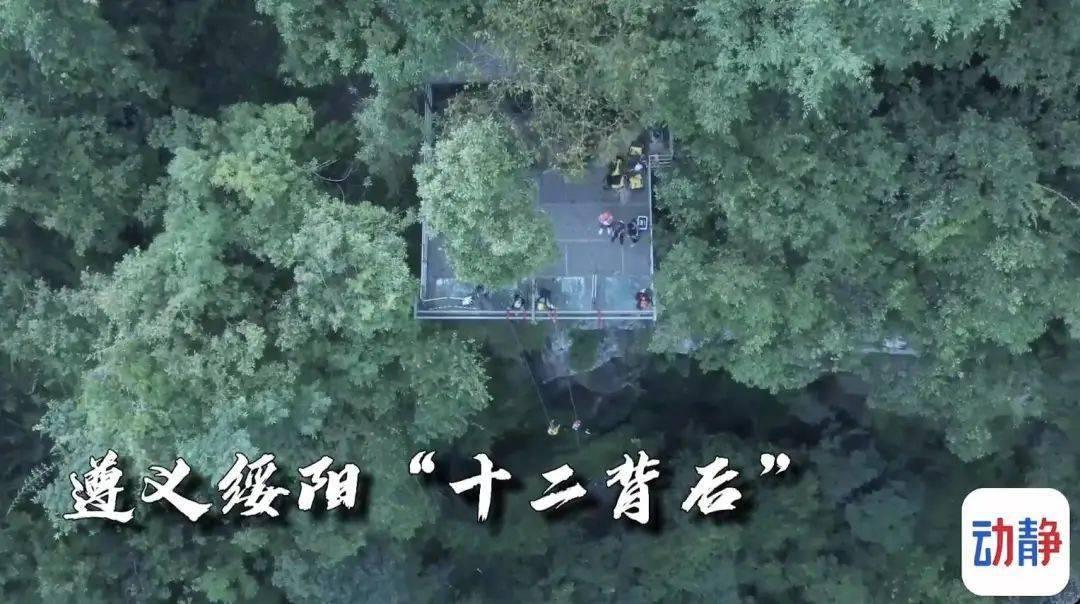 爱莲说