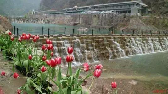 未知岛屿