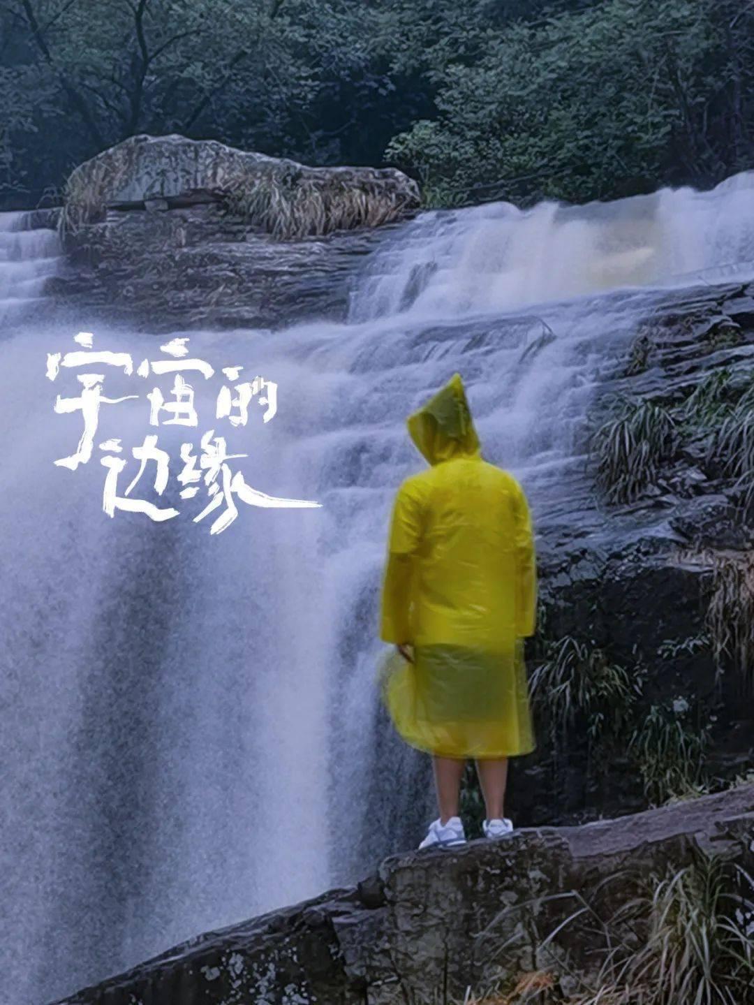 这是什么植物啊？