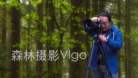 面板行业景气度攀升 TCL科技去年净利预增超700%