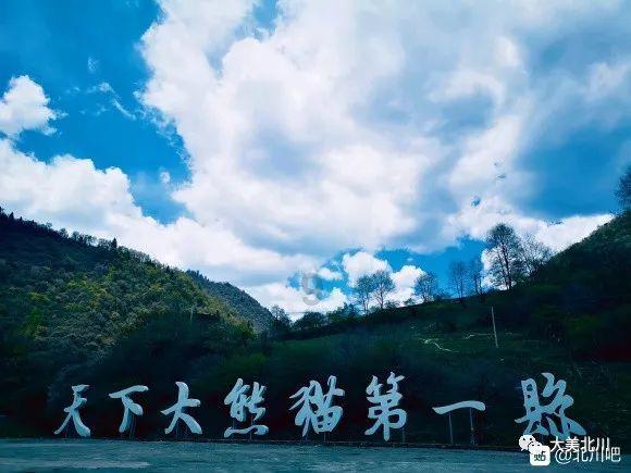 质量效应：仙女座