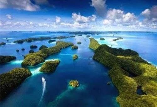 浙商证券李超:预计2024年我国出口或超预期