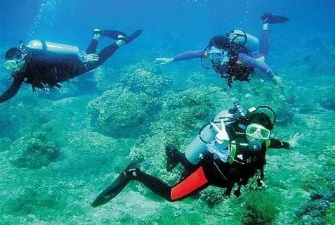 湖南浏阳：礼遇道德模范 榜样引领前行