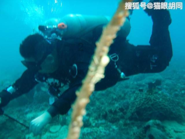 万词王