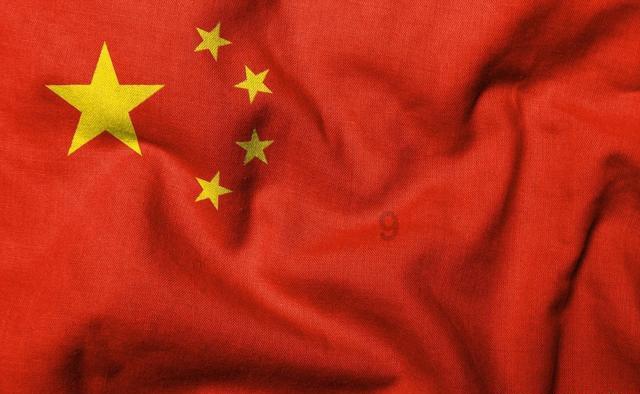 光绪丁未玉海棠制什么意思游戏画面