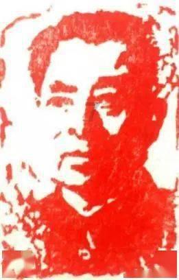 五彩鹦鹉救援