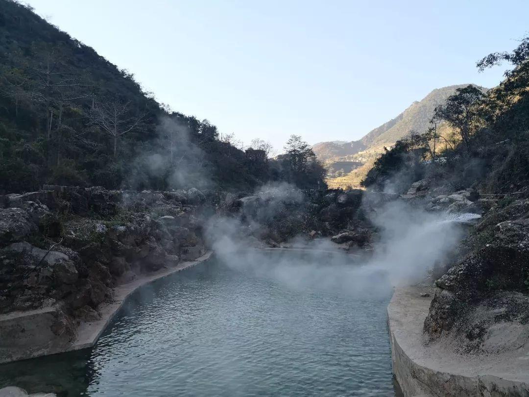 新鲜的大虾 做法？游戏画面