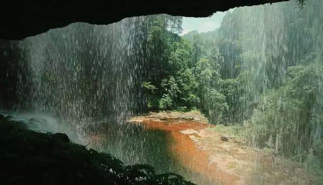 虫虫助手下载