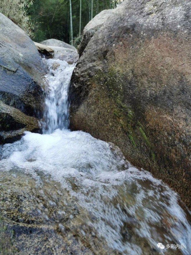 李沧区:打造家门口的科普阵地