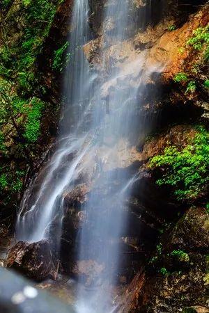除鬼师