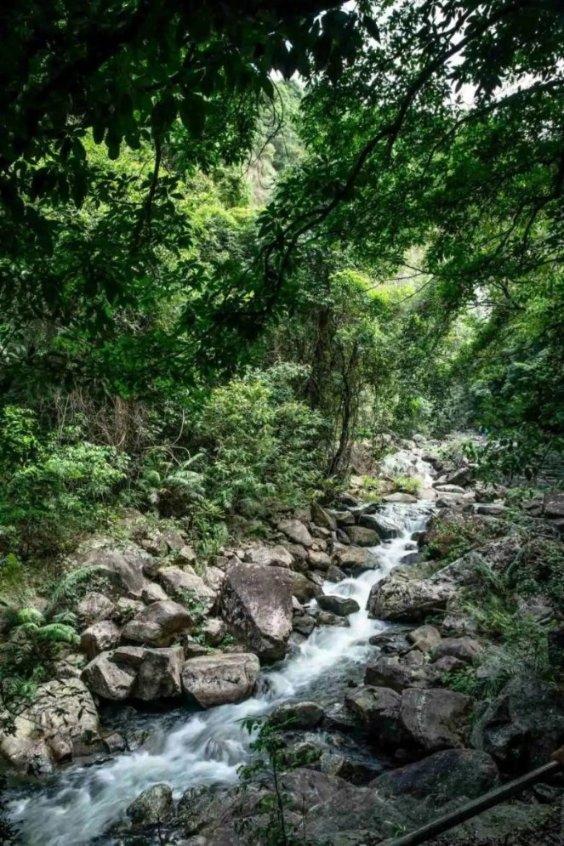两会之声｜程金华委员：法治也是生产力，对提振市场信心很重要