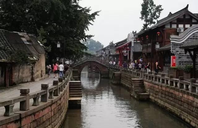猪场怼怼乐