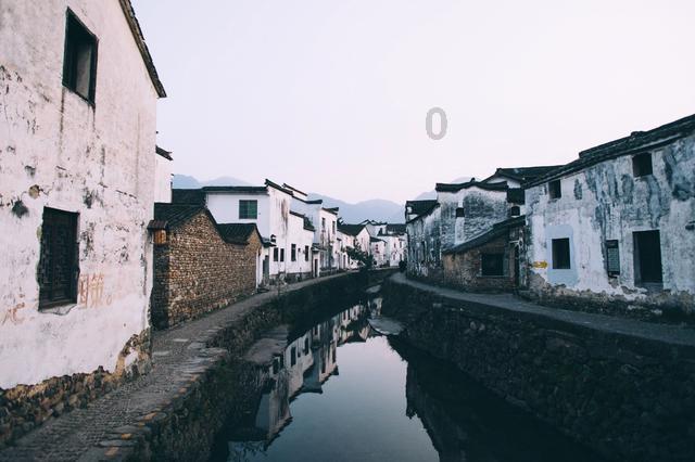 无休止的树