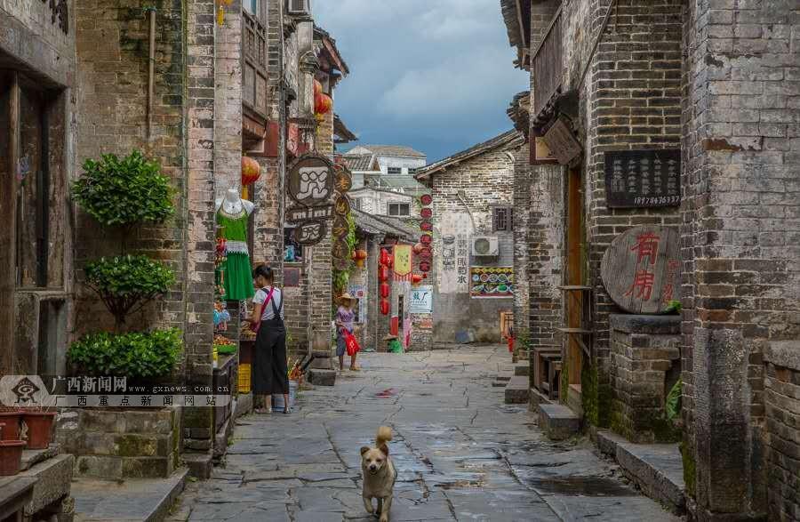 虫虫助手下载