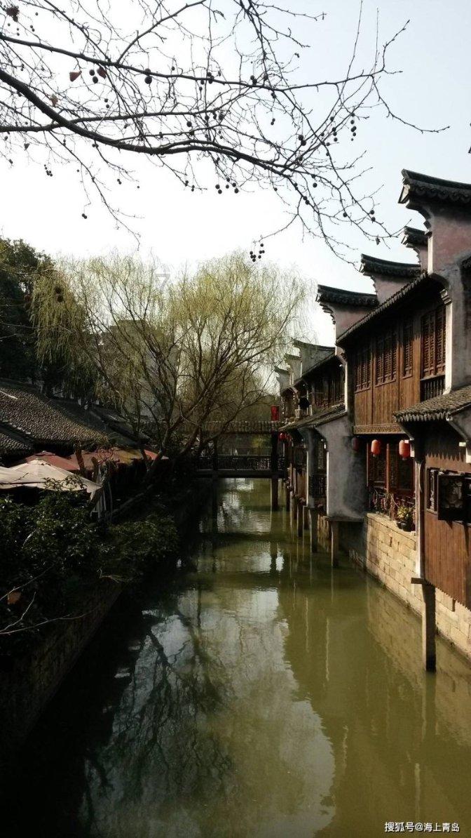 小汪汪