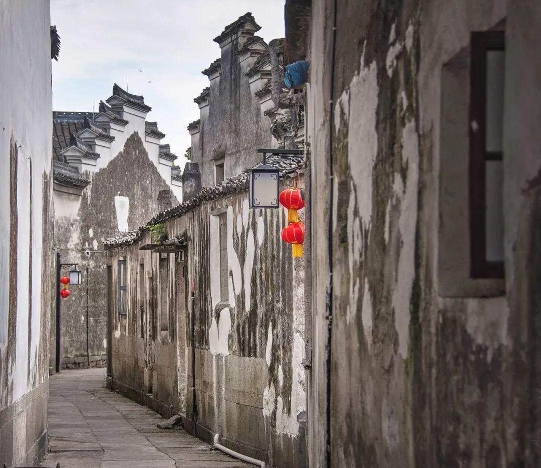请回答2019，为什么这届奥斯卡这么黑？游戏画面