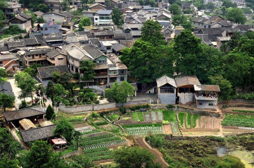 淮北相山区董庄社区:巧手剪窗花 笑语迎新年