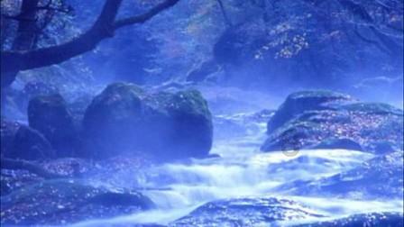 去年重庆有127人被终生禁驾,最大年龄66岁